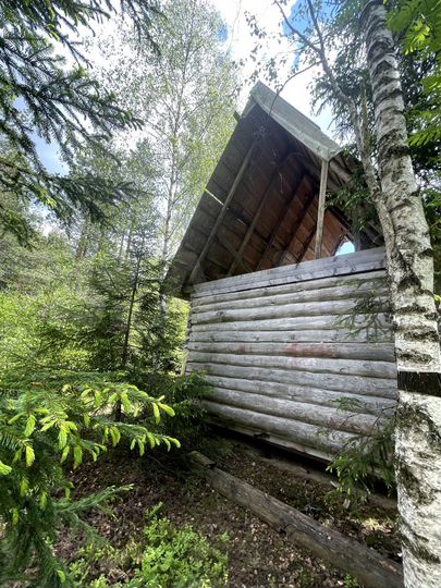 Участок 9,2 сот. (СНТ, ДНП)