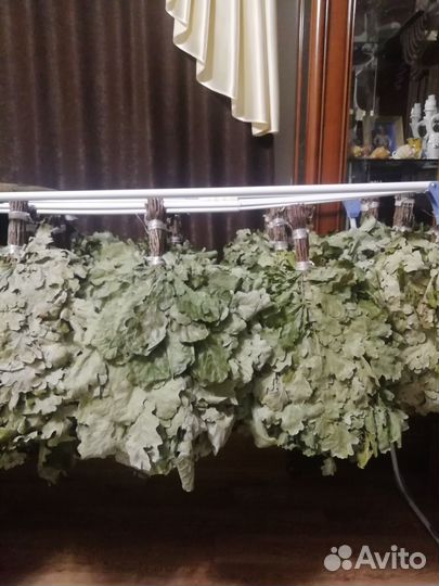 Веники дуб для бани