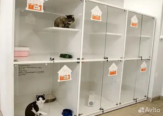 Готовый бизнес отель для животных