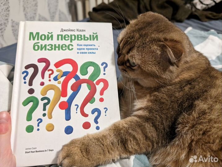 Каан - Мой первый бизнес