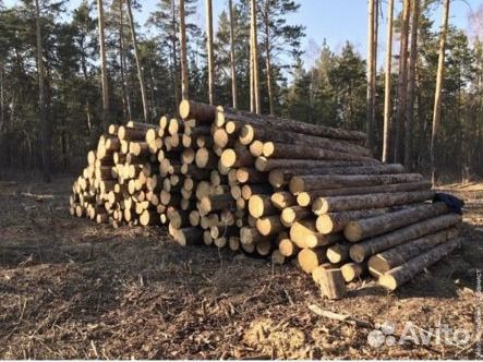 Продажа Леса