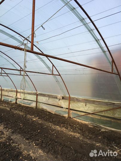 Парники теплицы бу