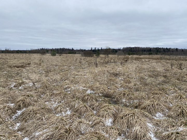 Участок 15 га (ИЖС)