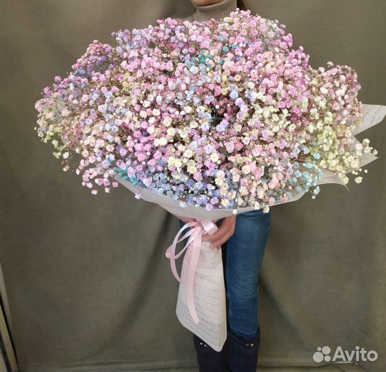 Радужная гипсофила