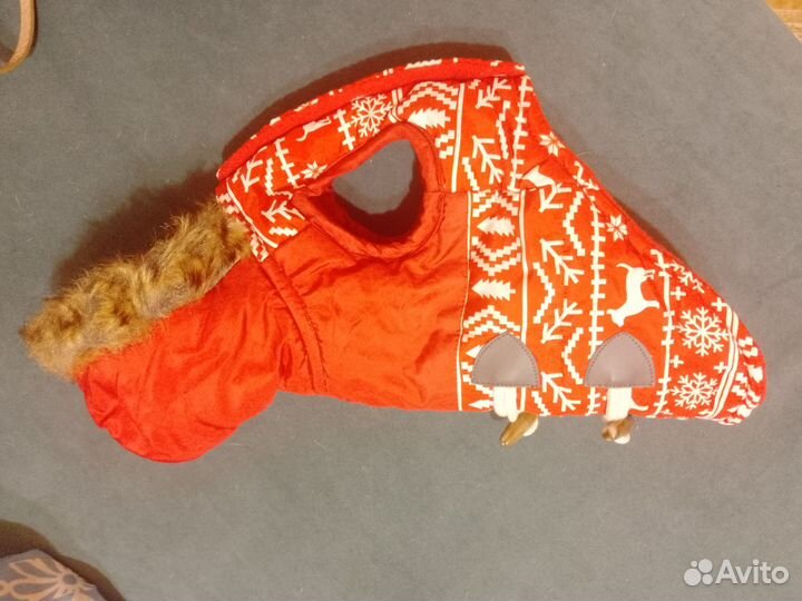 Одежда, амуниция