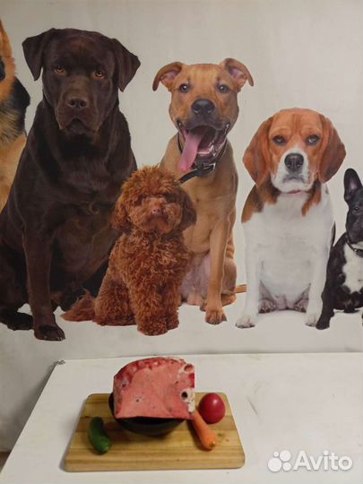 Мясо для собак (рубец,фарш,обрезь,корень,калтык