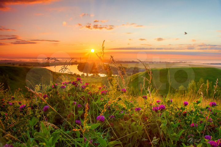 Участок 6 сот. (ИЖС)