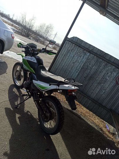 Racer panter 250 lite