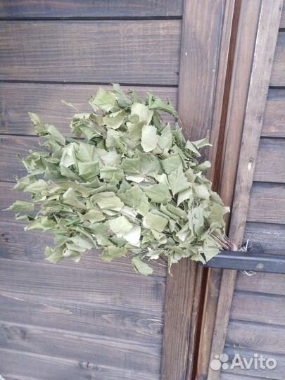 Веники березовые