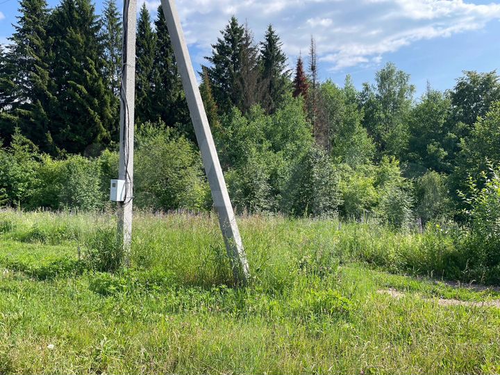 Участок 13,5 сот. (ИЖС)