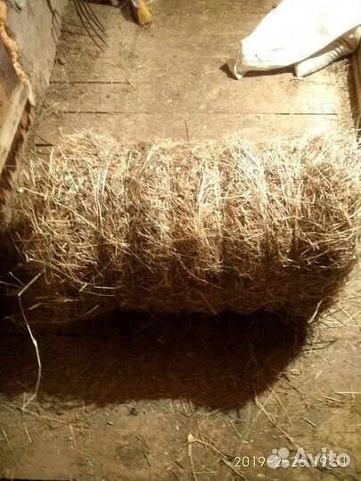 Сено в рулонах и мини-рулонах