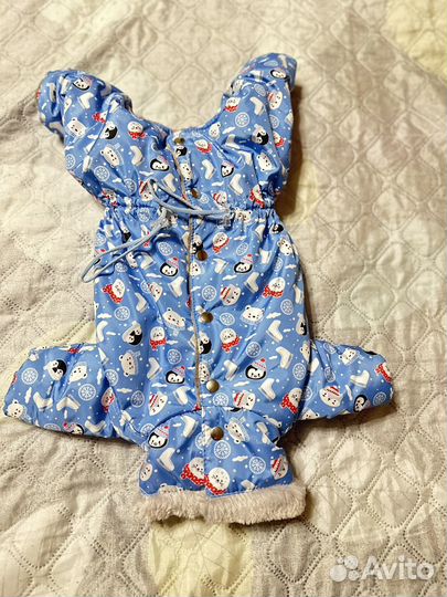 Комбинезон для собаки