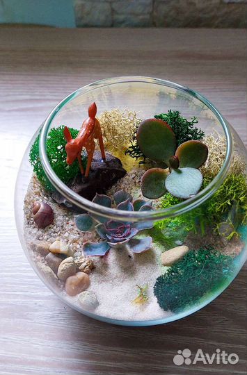 Флорариумы на 1 сентября