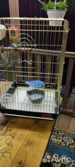 Клетка для попугая. торг уместен