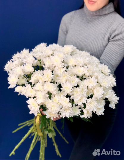 Букет из 25 кустовых хризантем