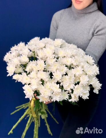 Букет из 25 кустовых хризантем