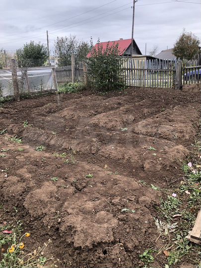 Дом 37 м² на участке 11 сот.