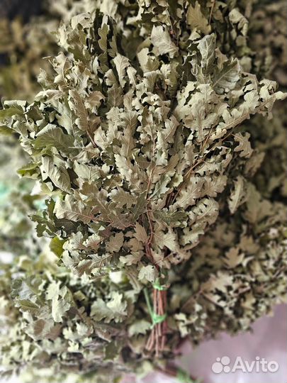 Веник дубовый