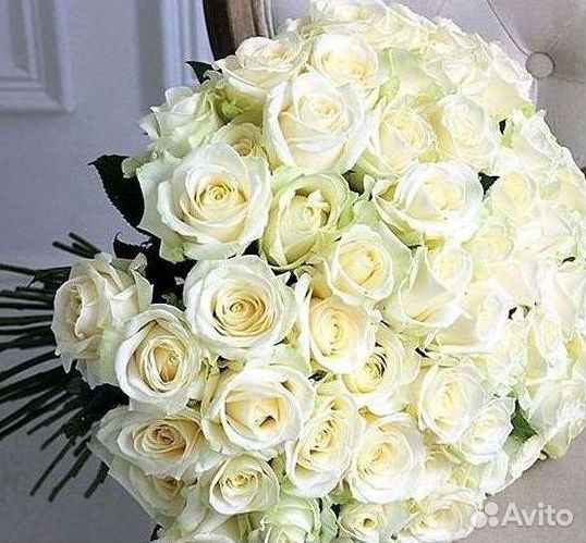 Высокие розы Гигантские розы 110