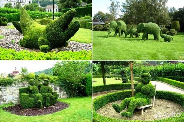 Экскурсионные туры по Алтаю из Омска