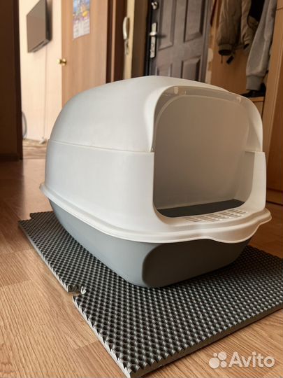 Котик в добрые руки