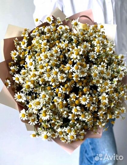 Букет из Ромашки