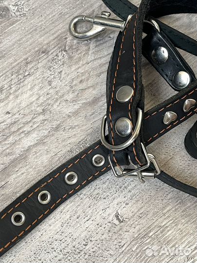Кожаный ошейник для собак
