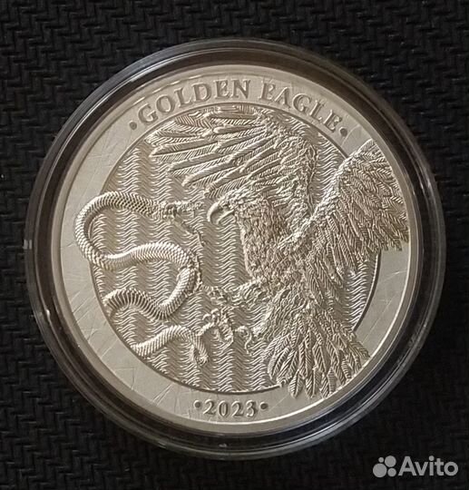 Золотой орёл, Мальта, 2023 г