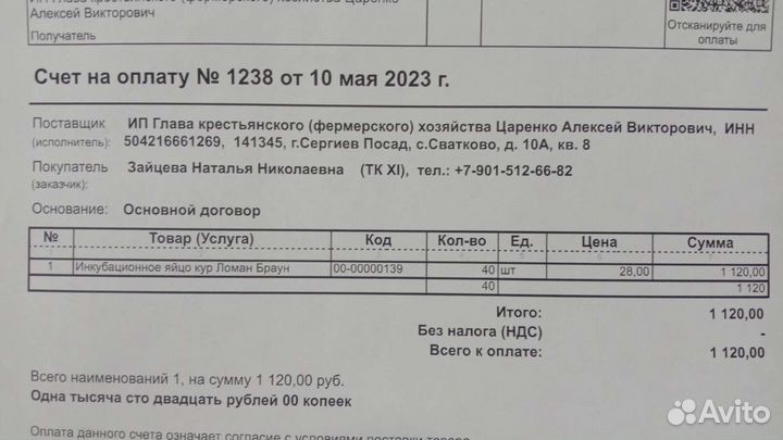 Петушки разных пород