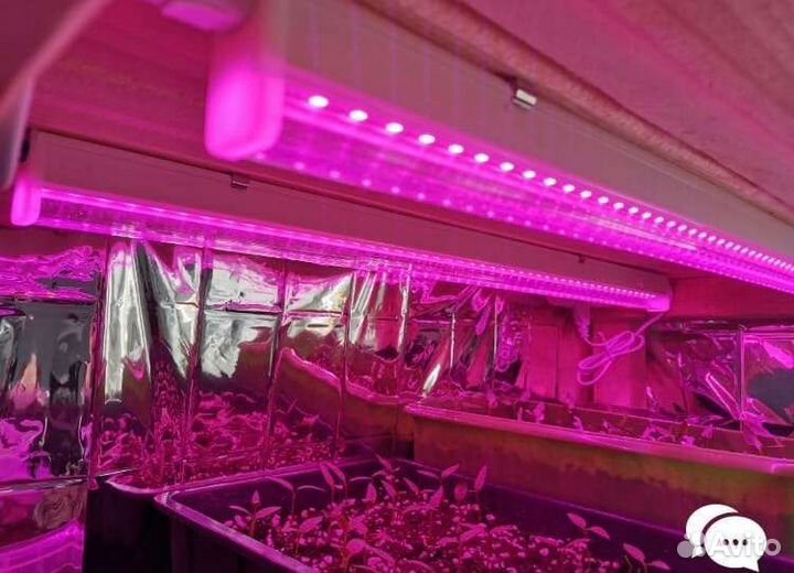 Фитолампа для растений