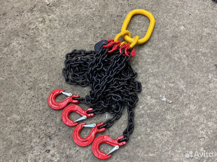 Цепные пауки чалки