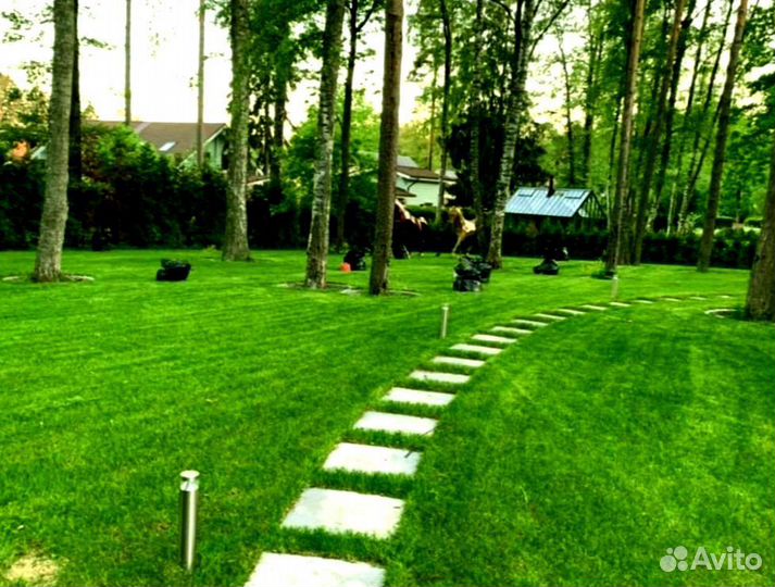 Рулонный газон от производителя