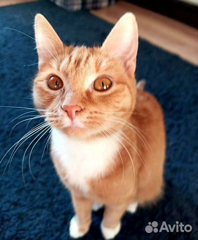 Самая озорная и добрая девочка Машуня