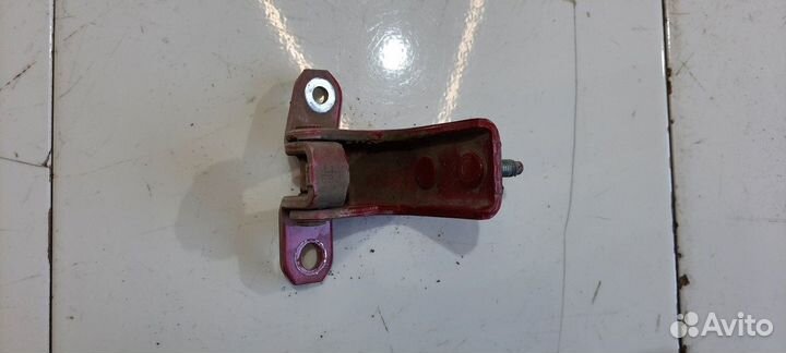 Петля двери задняя левая нижняя