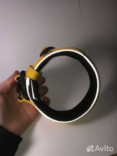 Ошейники на заказ для собак