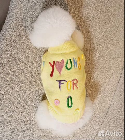 Свитер для собак