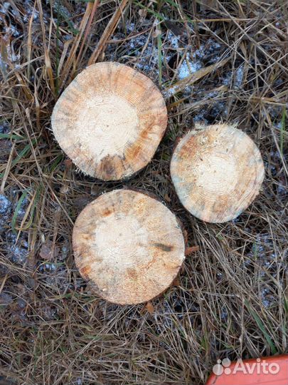 Помошник Оператора лентой пилорамы. Сборщик в цех