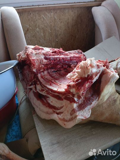 Продам мясо свинина