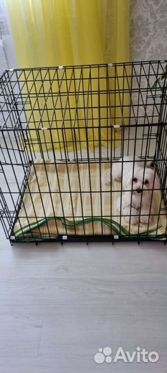 Клетки для собак, вольеры, заборы, ворота кованые