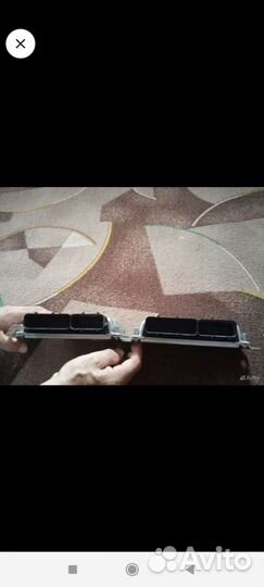 Эбу мозги на калину