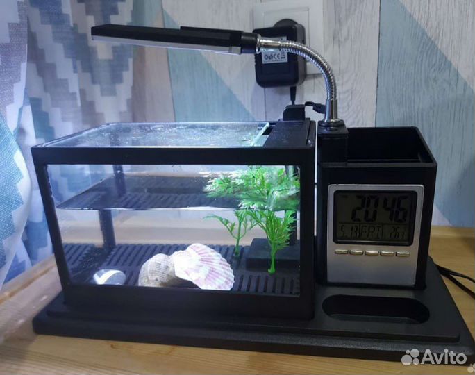 Акваруим 1,5 литра для петушка