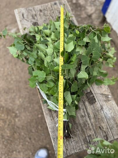 Березовые веники для бани