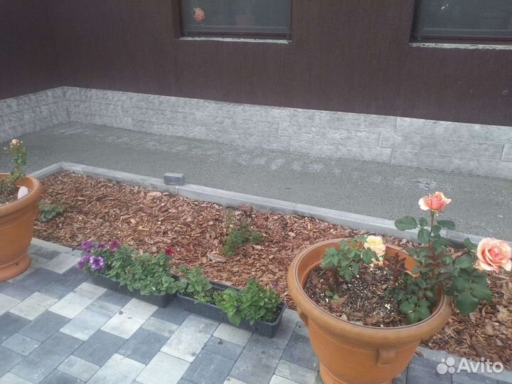 Кора сибирской лиственницы