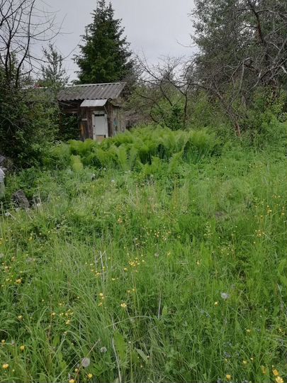 Участок 6,2 сот. (СНТ, ДНП)