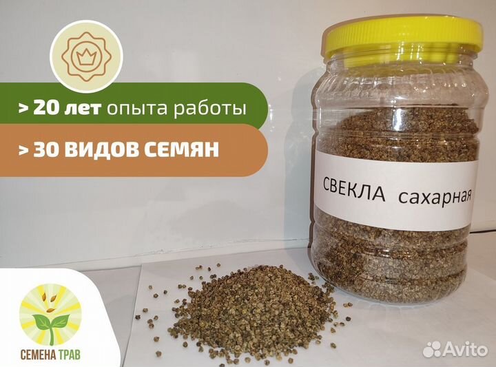 Семена Свекла сахарная протравленная