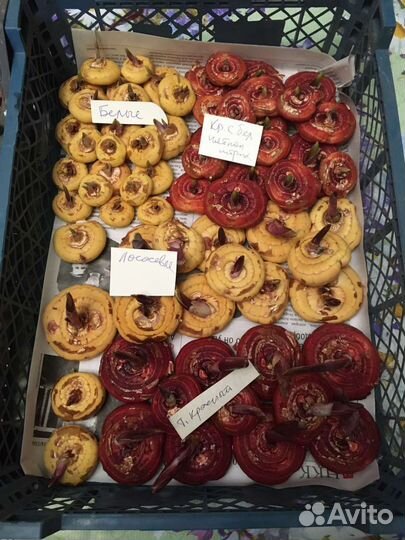 Гладиолусы луковицы