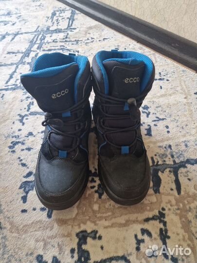 Полусапоги ecco детские