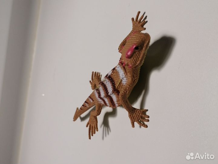 Геккон бананоед