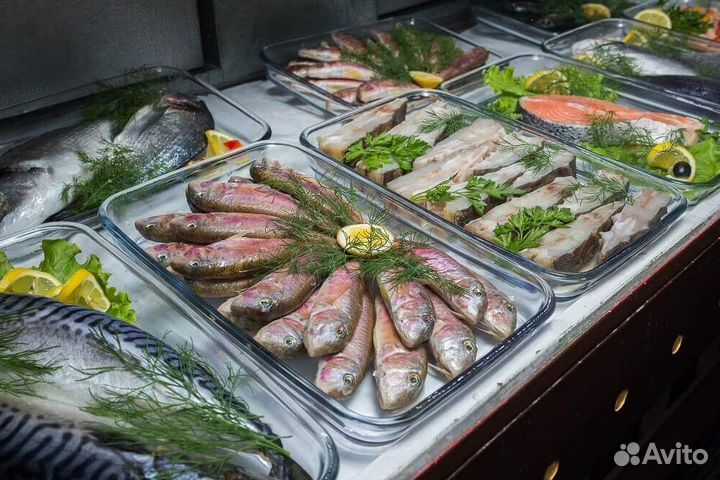 Продается магазин рыбы и морепродуктов