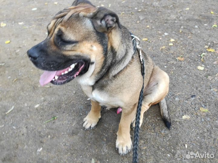 Ищем девочку